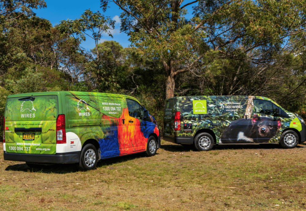 blog-media-release-image-11693275041692-1693275043614